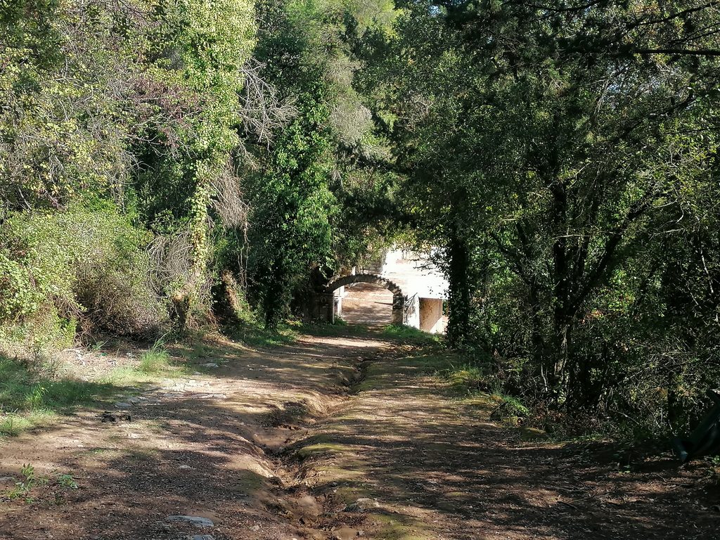 Vrachopanagitsa surrounded by dense vegetation near Vasiliko