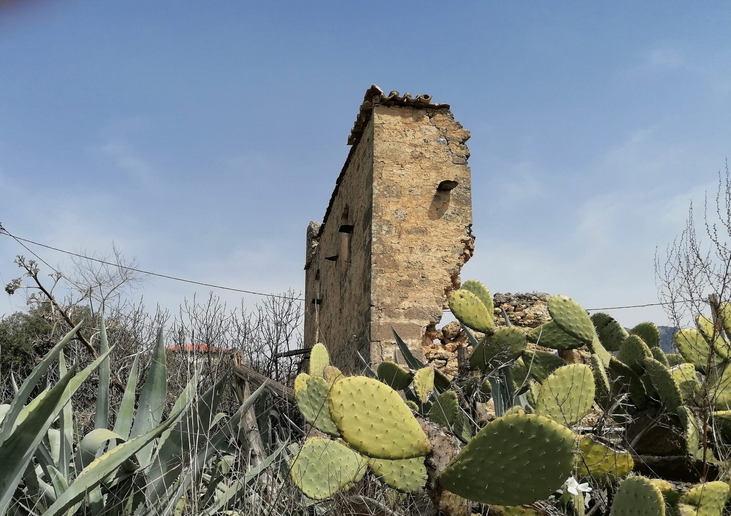 Old stone building and prickly pear cacti on a walking route above Kardamyli