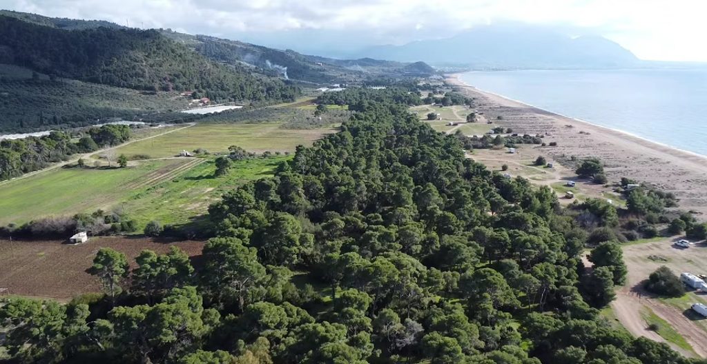Elaia Beach and the coastal pine forest in western Messinia