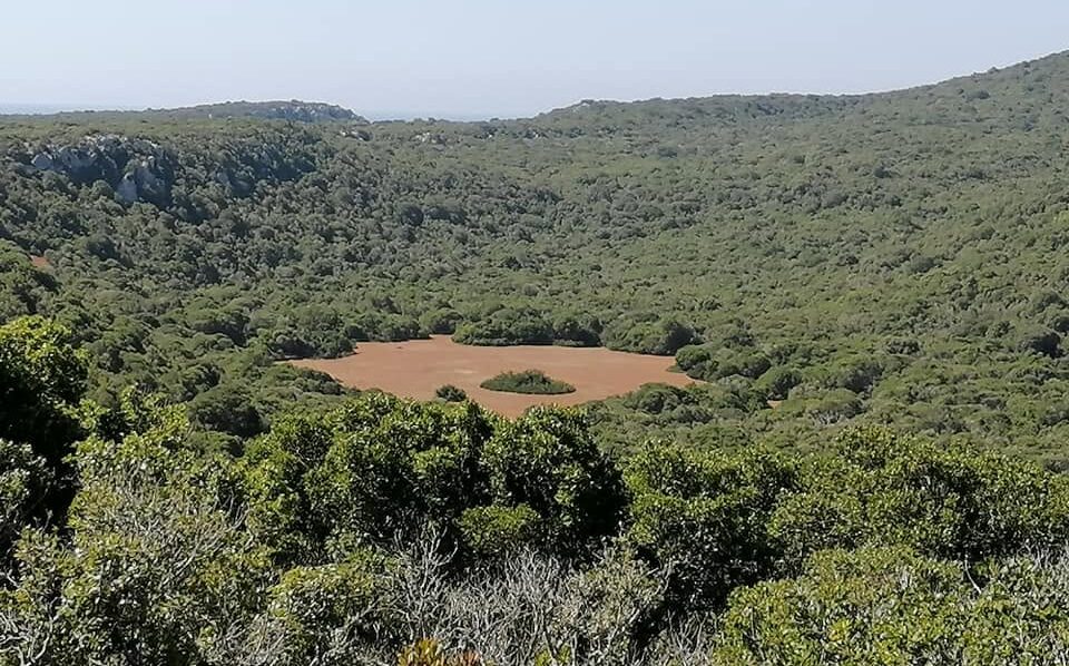 Spartolakka clearing surrounded by forest on Sapienza island