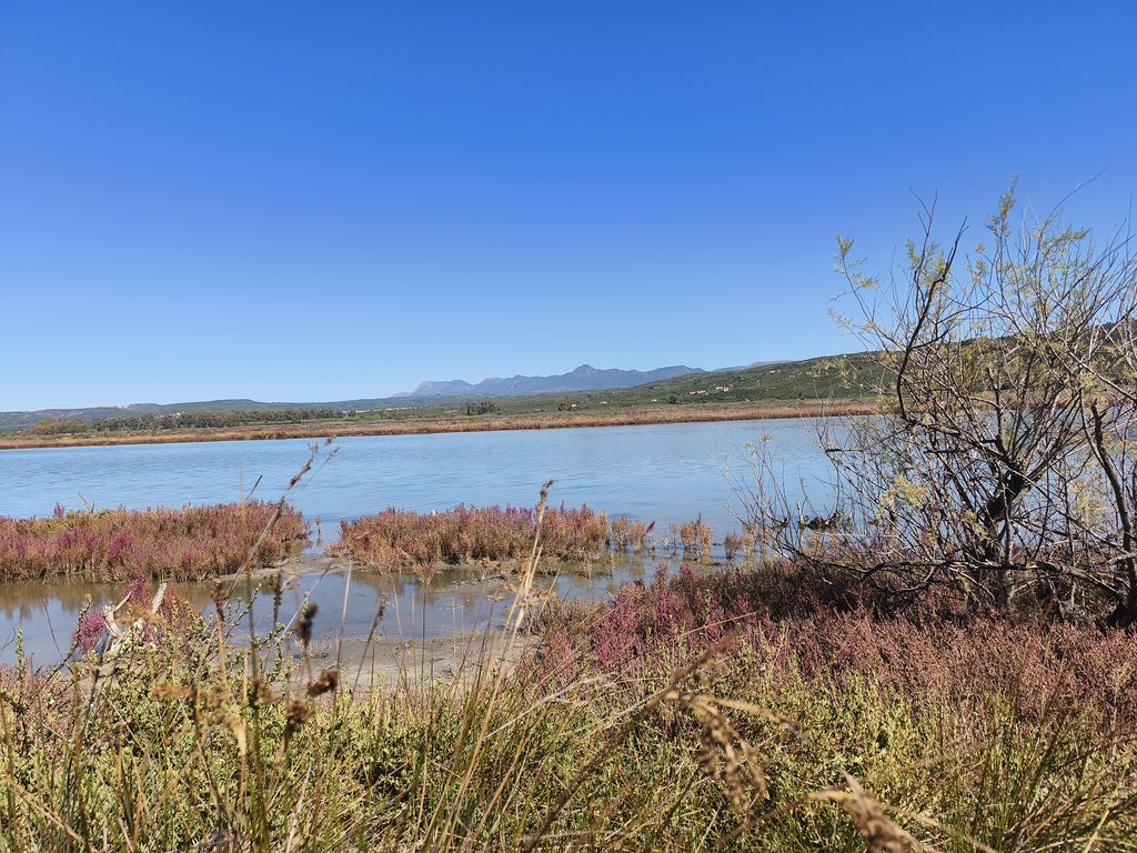 Shallow waters and wetland vegetation at Gialova Lagoon, a birdwatching destination in Messinia.