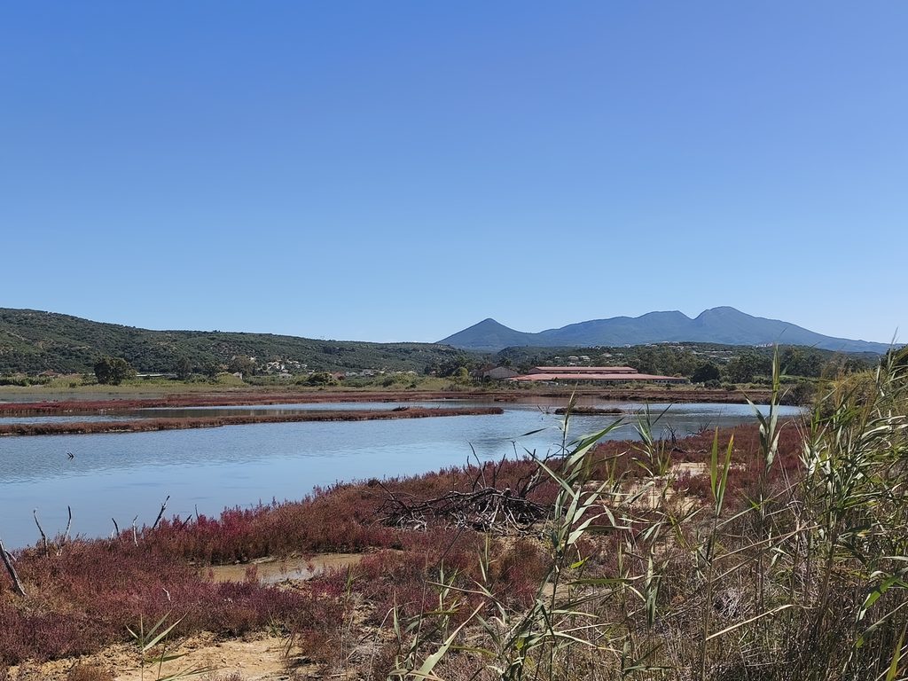 Gialova Lagoon wetland with shallow waters, coastal vegetation and surrounding hills.